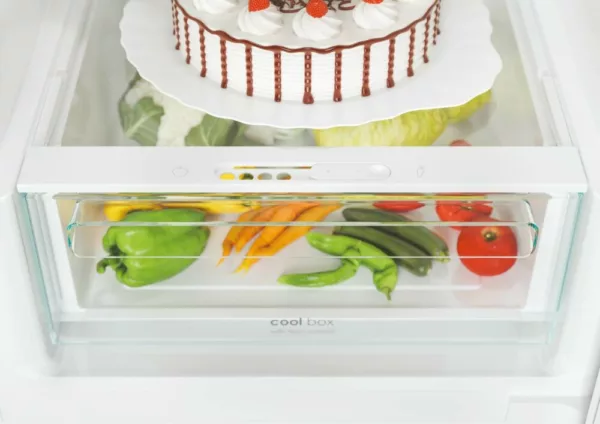 Candy CCE4T620DS Fresco Réfrigérateur pose libre avec congélateur – cm. 60 heures 200 - litres 377 - acier inoxydable – Image 8