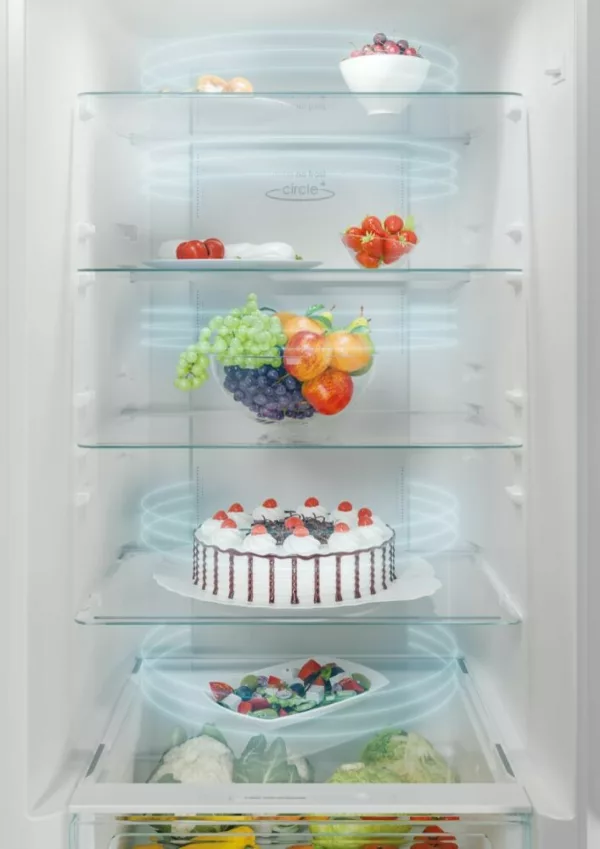 Candy CCE4T620DS Fresco Réfrigérateur pose libre avec congélateur – cm. 60 heures 200 - litres 377 - acier inoxydable – Image 9